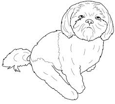 Check spelling or type a new query. Shih Tzu Coloring Page Free Printable Coloring Pages Puppy Coloring Pages Dog Coloring Page Horse Coloring Pages