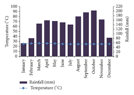 Image result for Rhabdophyllum welwitschii