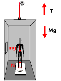 Physics 12 How Does Your Weight Change In An Elevator