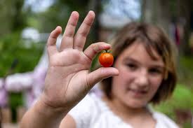 Deaths at child care centers are rare but reveal a broken system