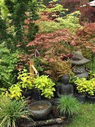Quelques Photos Des Journees Des Plantes De Chantilly Avec Images Jardin D Ombre Jardins Potagers Verticaux Plante Ombre