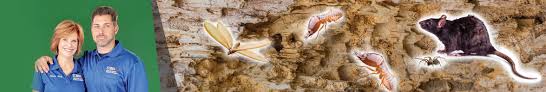 Manage all your bills, get payment due date reminders and schedule. Ecola Termite And Pest Control Services Linkedin