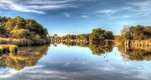 Excursion Dans Le Parc Regional De La Brenne En Camping Car Parc Naturel Regional Parc Naturel Citations Voyage