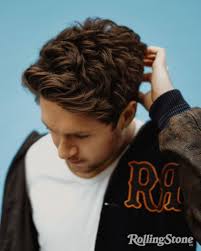 Niall Horan: how life and love inspired 'The Show'