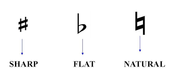 Refer to the external references at the end of this article for more information. What Are Accidentals Accidentals Are Musical Signs Used To Change The Pitch Of A Note Accidentals Are Used To Music Theory Lessons Music Theory Music Symbols