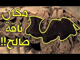 ناقة النبي صالح التي خلقها الله من الصخر لقومه فكفروا وقتلوها فماذا كان عقابهم youtube movie posters poster movies