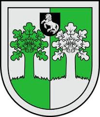 Így írország nemzeti színe a védőszentjéről elnevezett szent patrik kék, ami a futball csapatuk mezének is a színe. 380 Cimerek Ideas In 2021 Cimer Oldenburg Tortenelem