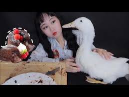 Asmr Eating Duck Ate My Chocolate Lava Animal Asmr The Girl And A Duck Youtube Chocolate Lava Asmr Animals