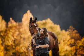 Es sind sooo viele tolle bilder mit @sophia_m_w entstanden und ich freue mich dass pferdefotografie mit leidenschaft! Silvia Ursina Pferdeshooting In Bern Eine Wunderbare Alte Stute