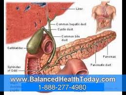 Liver Gall Bladder Relief Stones Part 2 Youtube Liver Livercleanse Liverstones Gallbladderstones Gallbladder Gallbladder Bile Duct Gallbladder Symptoms