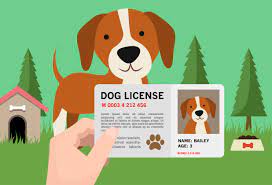 Why should i get a license for my dog? City Dog License Renewal Now Available Online Oswego County Humane Society