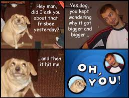 Oh You Know Your Meme
