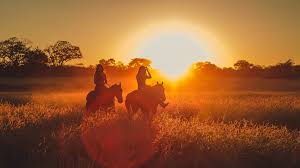 Horseback riding tours near park city just outside of town in coalville and wanship are rocky mountain outfitters and wind in your hair riding. Horseback Riding In Denton Family Friendly For All Skill Levels
