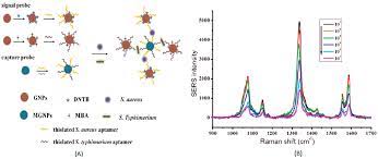 Fluorescence detector the advantage of fluorescence method is its high sensitivity for. Sensors Free Full Text Novel Surface Enhanced Raman Spectroscopy Techniques For Dna Protein And Drug Detection Html