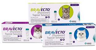 Bravecto plus is effective for fleas, ticks, heartworm prevention, and roundworm and hookworm infestations for two months! Bravecto For Cats Questions Productreview Com Au