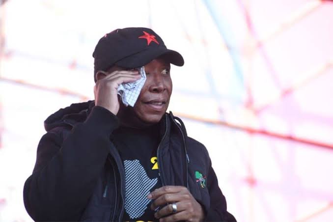 Malema's responds to Madlanga commission allegations: Here's what he said