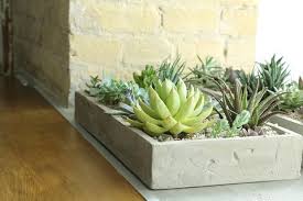 From large to small, painted or gold leafed, you'll find the. Diy Concrete Succulent Planter 46 Spruce Wholesale Supply House
