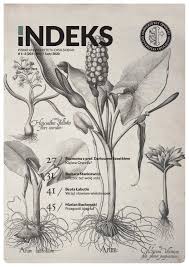 Najpiękniejsza rzecz po tej stronie nieba. Indeks 203 204 Luty 2020 By Uniwersytet Opolski Issuu