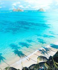 hawaii luau company hawaii s premiere corporate event luau wedding and entertainment company www hawaiiluaucompany com pc halehana 美しい場所 美しい風景 風景