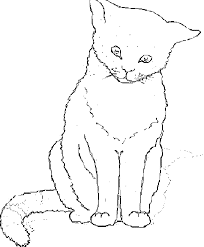 Big cat coloring pages was upload by was on october 12, 2013. Print Download The Benefit Of Cat Coloring Pages