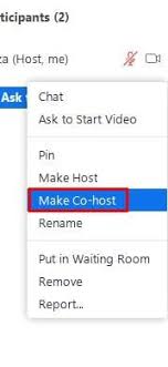 Click on manage participants in the meeting controls at the bottom of the zoom window. How To Add A Co Host On Zoom Technipages