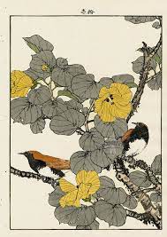 Hibiscus Temminck S Robin From Imao Keinen Kacho Original Japanese Woodblock Prints Of Birds A Japanese Vintage Art Japanese Woodblock Printing Flower Drawing