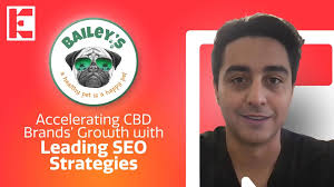 How ClusterMagic Fueled Explosive SEO Growth for a Pet eCommerce Brand