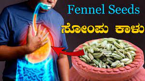 Is it OK to eat fennel seeds everyday? Fennel Seeds Benefits in Kannada | Fennel  Seeds Kannada - YouTube