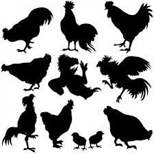 Rooster free vector we have about (192 files) free vector in ai, eps, cdr, svg vector illustration graphic art design format. Fighting Rooster Free Vector Eps Cdr Ai Svg Vector Illustration Graphic Art