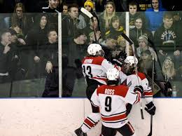 Penguins Cup playoffs preview: Defense strong for West Allegheny