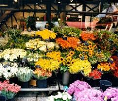 St georges basin viesnīcas un karte visu rajonu karte: Jervis Bay Florist Sanctuary Point Nsw 2540 Local Florists Delivering Fresh Flowers