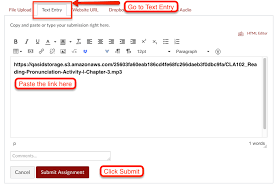 Canvas Assignment Submission Website Url Qasid Arabic Help