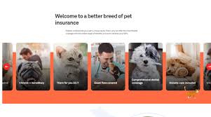 Petplan pet insurance covers up to 90% of vet bills for dogs & cats. Petplan Stdev