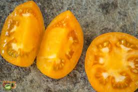 نتیجه جستجوی لغت [fleshed] در گوگل