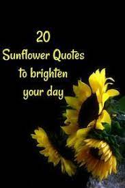 2.please be sure to correctly mark nsfw content after submitting. Sunflower Quotes 20 Best Sunflower Sayings With Images Sunflower Quotes Beautiful Flower Quotes Flower Quotes