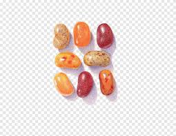 Visual Arts Drawing Colored Pencil Watercolor Painting Candy Watercolor Painting Pencil Png Pngegg Drawing bear gummy bear drawing gummy bear cute line drawing cartoon symbol background decorative painting decoration teddy sweet hand painted lines love animal lovely toys element adorable pattern sketch color teddy bear character icon paint outline decor palette ornamental heart classic. visual arts drawing colored pencil