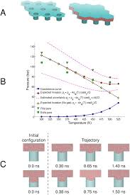 Model incetare cim somaj art.65.alin.1. Sustaining Dry Surfaces Under Water Scientific Reports