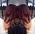 Rose Gold Burgundy And Blonde Ombre