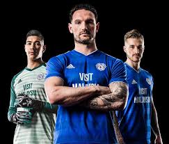 Sewn large 2009/10 jersey blue bird championship. Cardiff City 18 19 Premier League Kit Revealed Footy Headlines