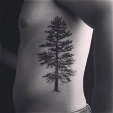 Maybe you would like to learn more about one of these? Tattoos For Men From Columbia Sc Tattoomenu