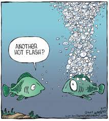 Pin On Funny Stuff