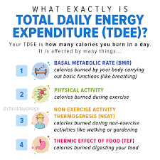 Find causes and treatments of your physical symptoms.for your health. Let S Learn About Neat Tepa Bmr Tef Tdee And How We Can Use Them To Enrich Our Lives By Jayson Westley Medium