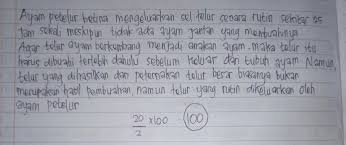 Ayam Petelur Diberikan Perlakuan Khusus Agar Dapat Menghasilkan Telur Telur Ayam Yang Di Hasilkan Brainly Co Id