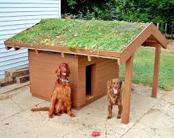 Pin Em Para Pets