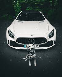 Serving the drexel hill community for over a decade. Excellent News We Have A Car To Match Your Dalmatian Johannes Hauser Www Johannes Hauser Fotografie De Mercedes Amg Mercedes Sports Car Mercedes Car