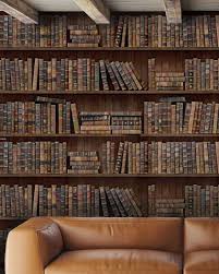 We have an extensive collection of amazing background images carefully chosen by our community. Book Shelves Premium Wallpaper