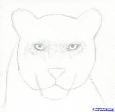 Cool drawing idea is an exclusive platform from where can learn animal drawings step by step. Drawing Realistic Animals Step By Step Easy Animals To Draw Realistically Drawing Artisan Easy Animal Drawings Realistic Animal Drawings Animal Drawings