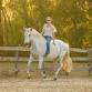 Dressage & Horsemanship Clinic with Karen Rohlf