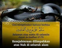 Doa Hindar Ular Masuk Rumah Google Search Quran Text Quran Animals