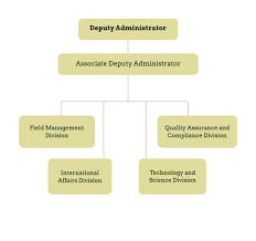 Structure Organization Fgis